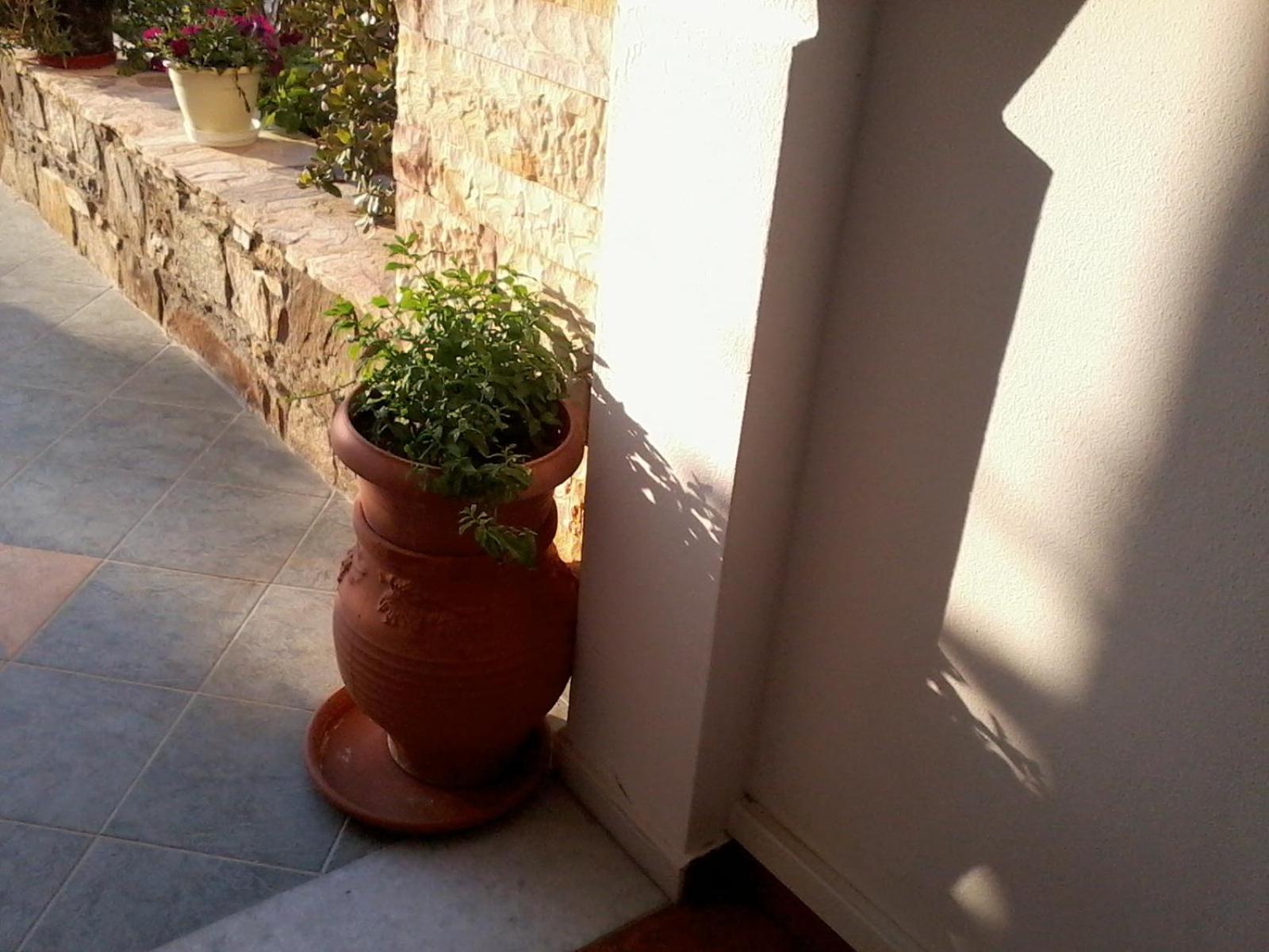 Acti Plaka Hotel Dış mekan fotoğraf