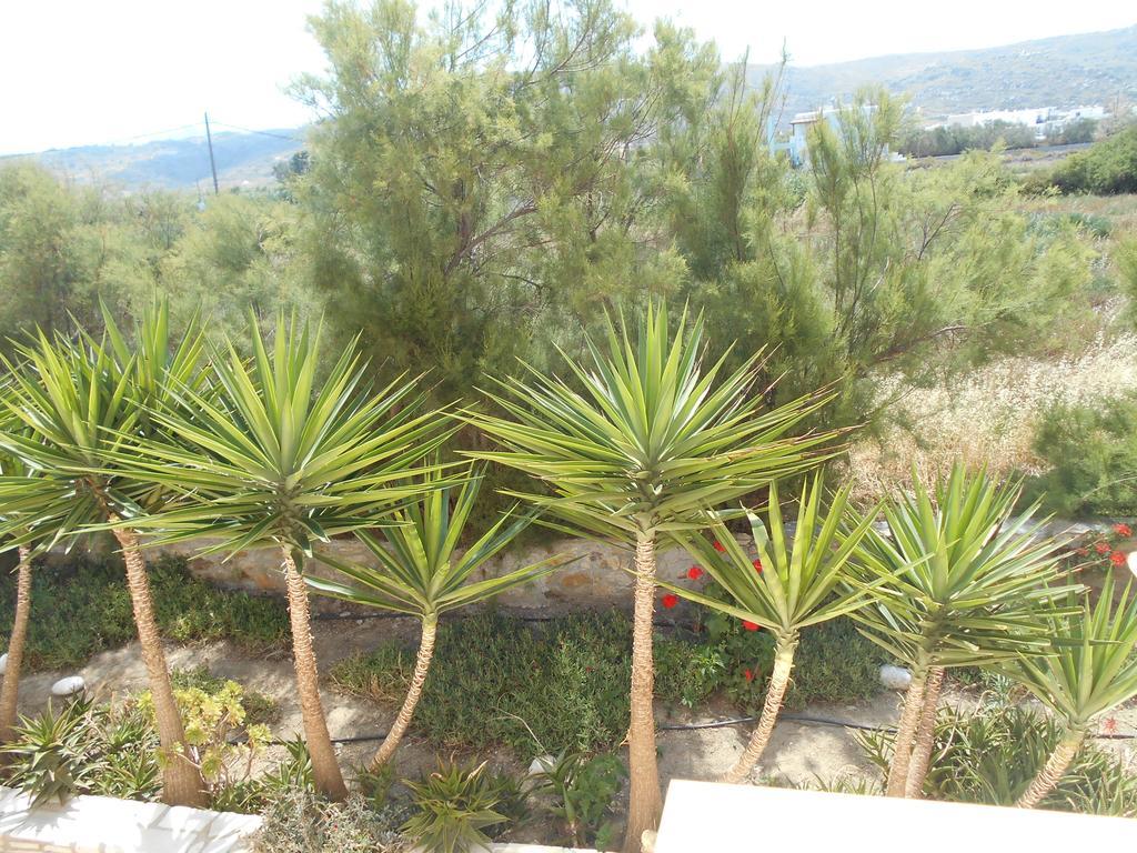 Acti Plaka Hotel Dış mekan fotoğraf